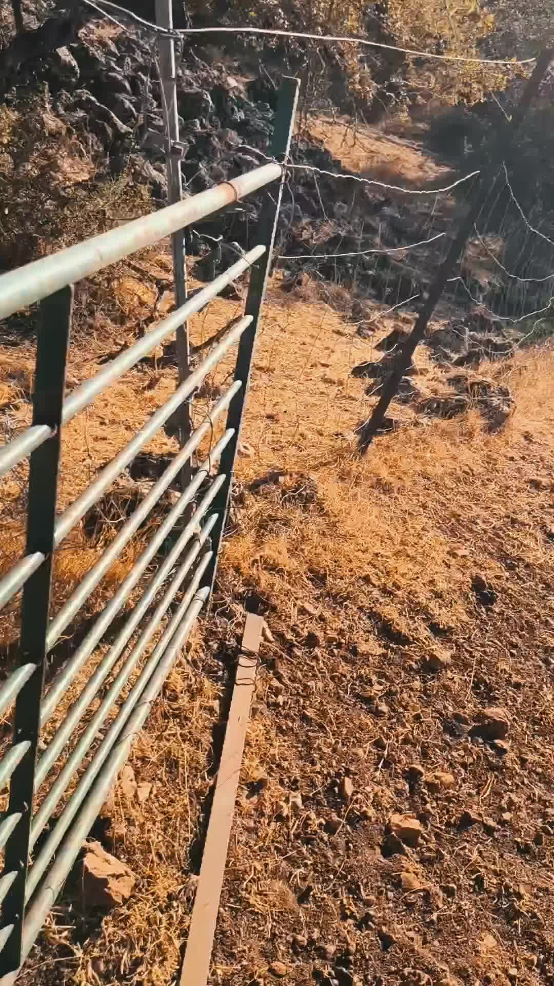 @juan.AKAB.ElCabrero
