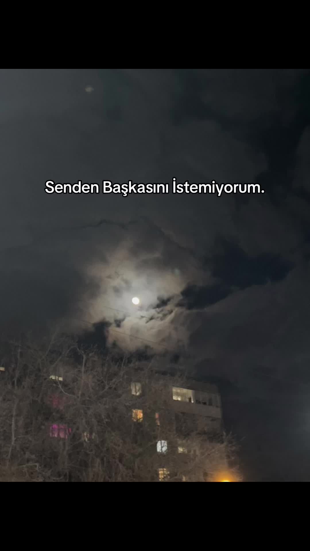 @talışgirl