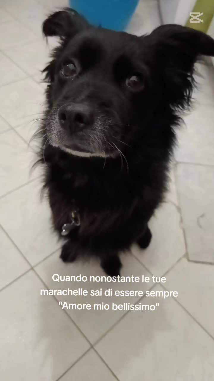 @_Elchiam_