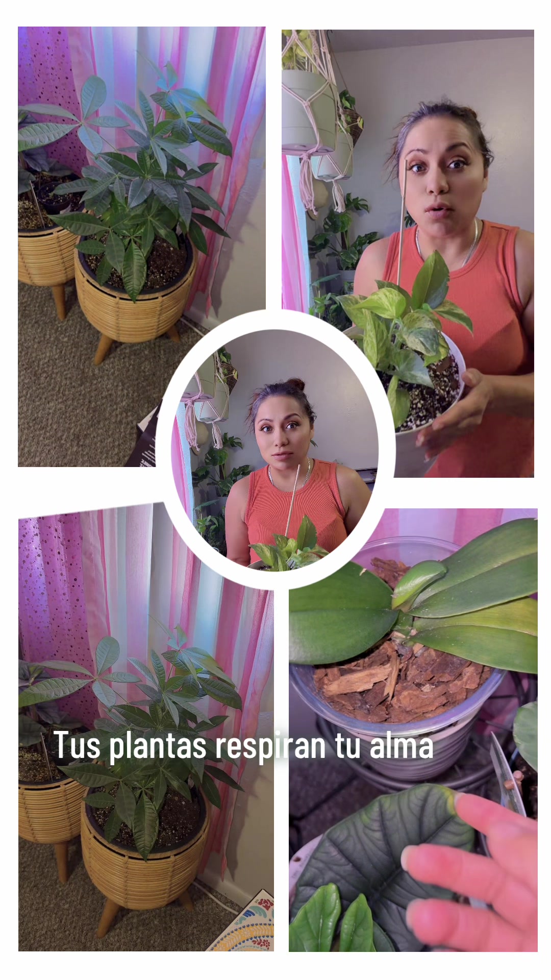 @aprendeconmary2
