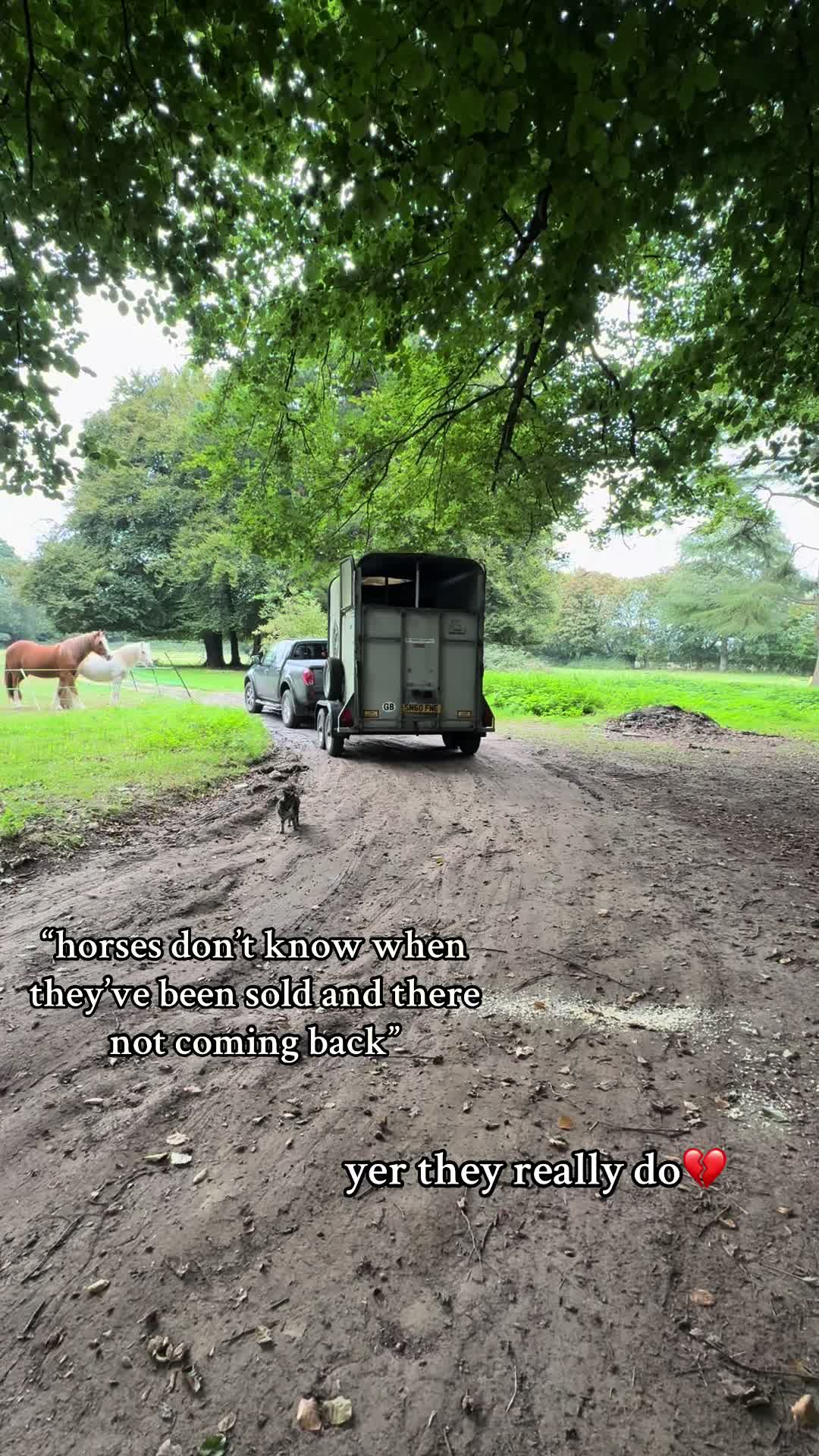 @𝐑 𝐀 𝐕 𝐄 𝐍ꨄ