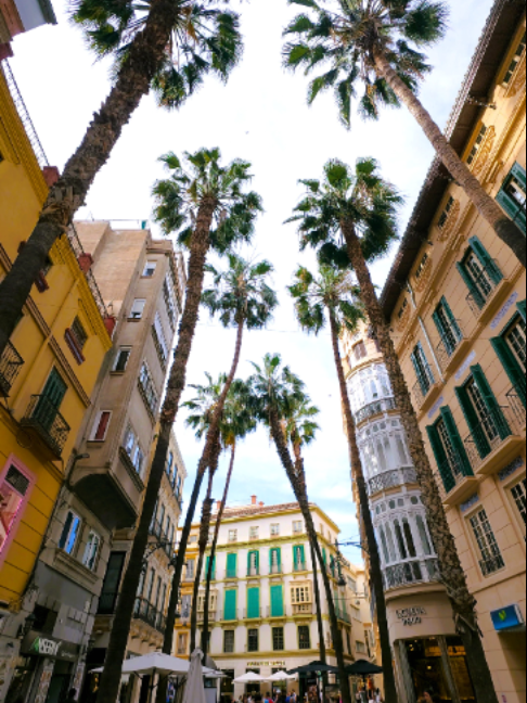 @Life in Spain