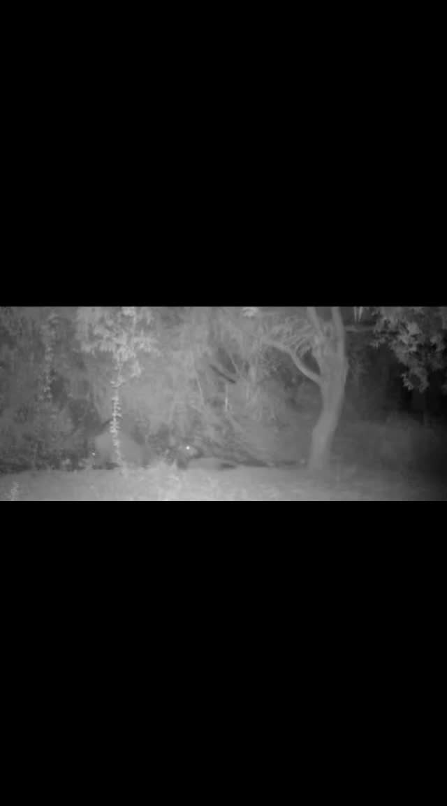 @Melo-Melino-Meluccio