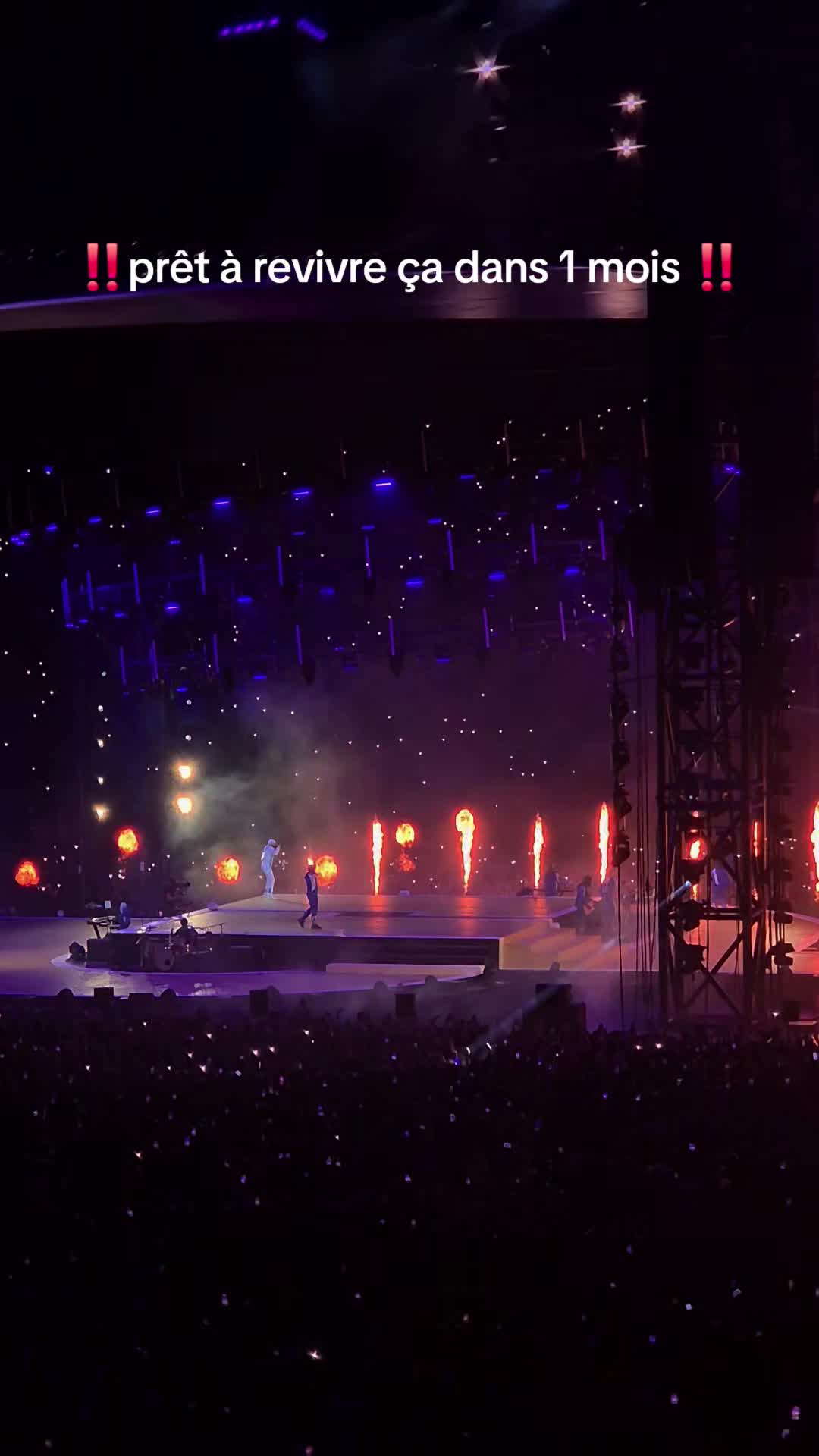 @concert.media