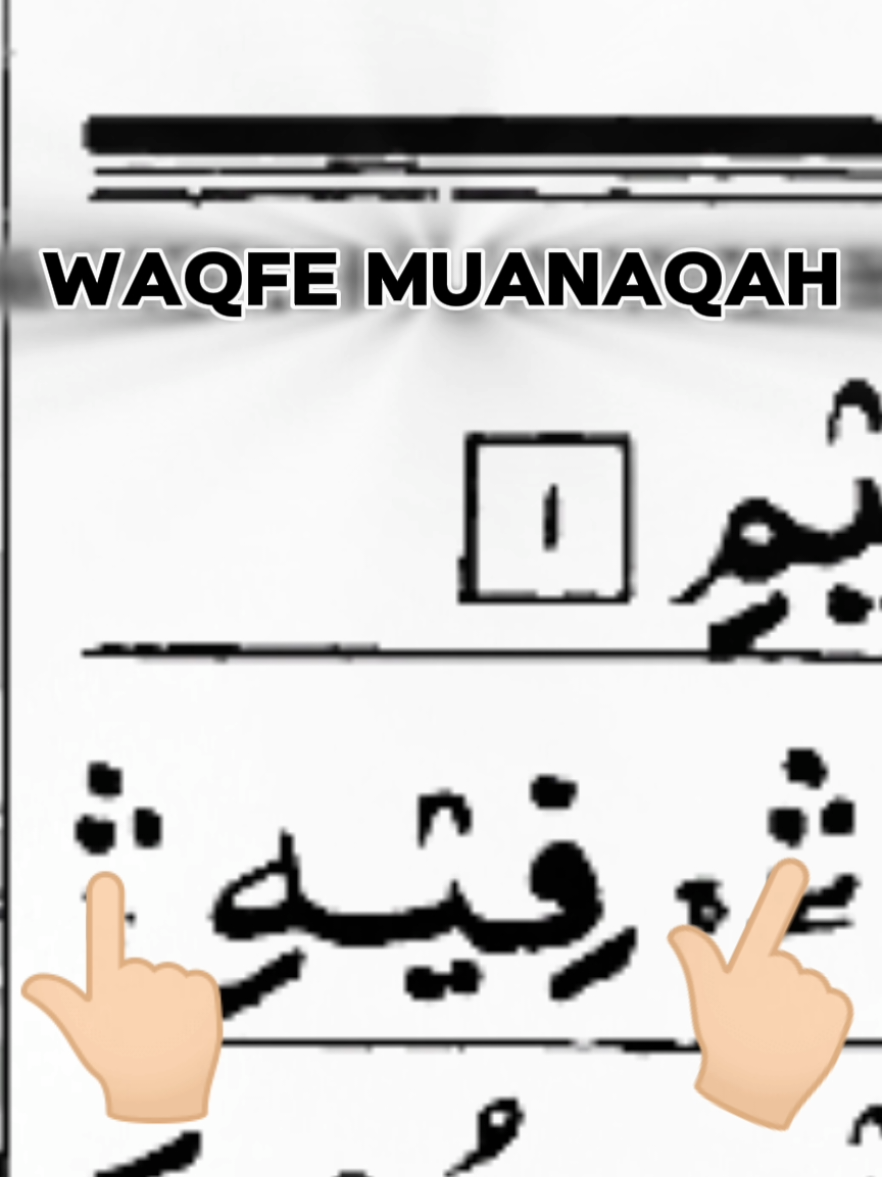 @Quran's Faizan