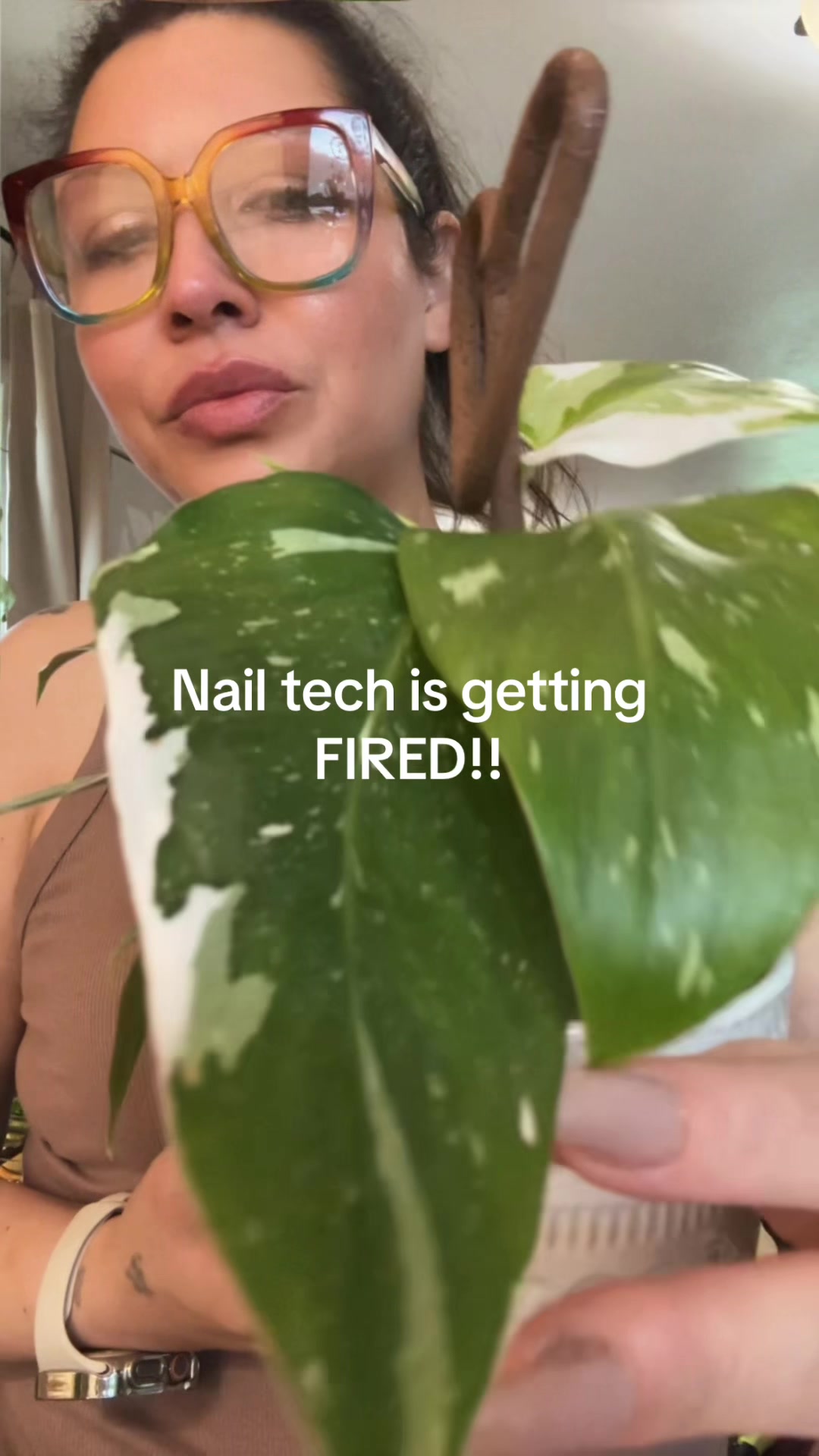 @Planty Grammy