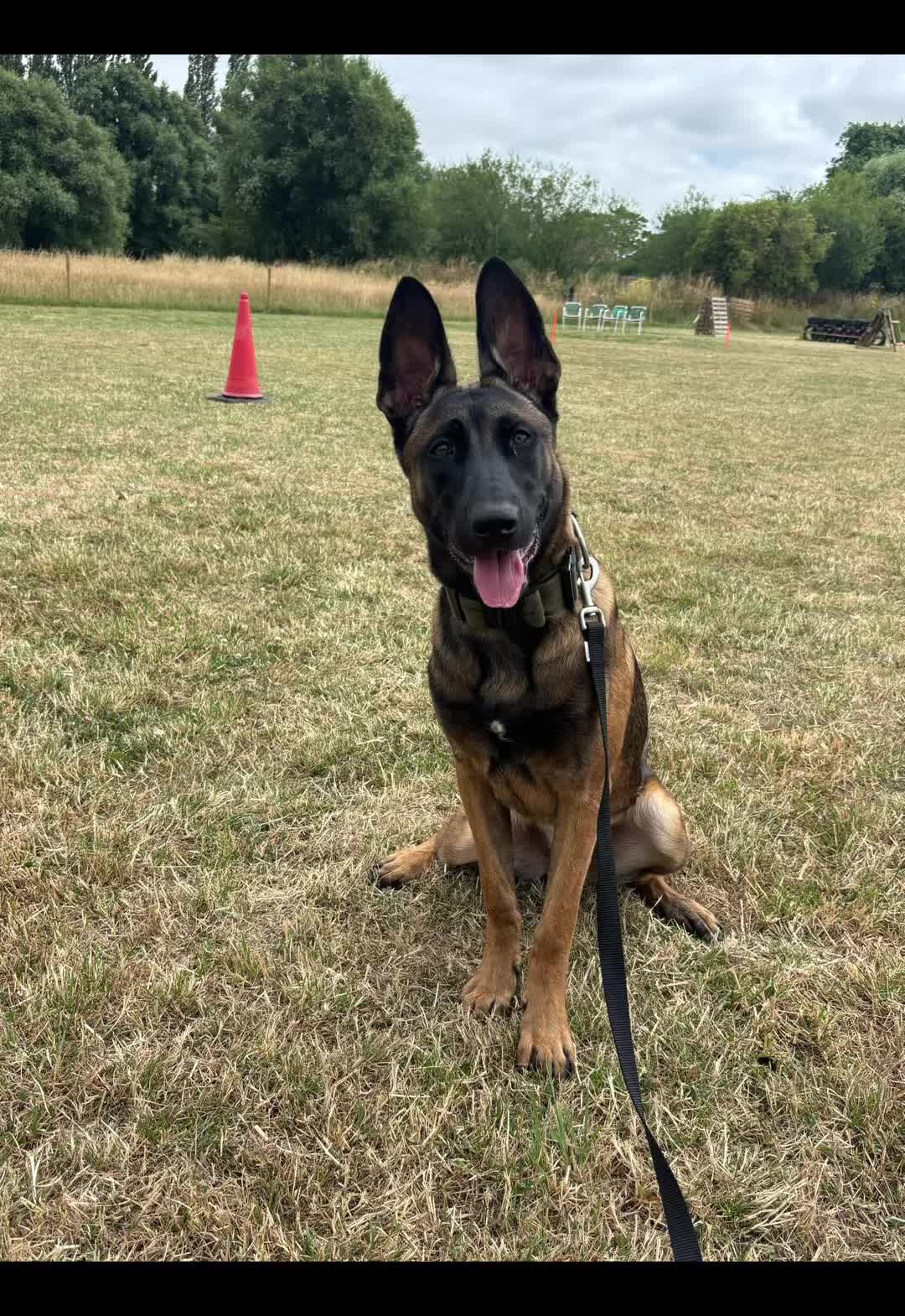 @KAKEK9 TRAINING LTD