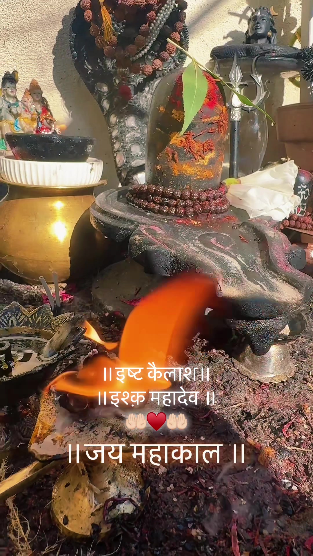 @ਵਲੈਤੀ ਪੰਜਾਬਣ sukh/ਸੁਖ
