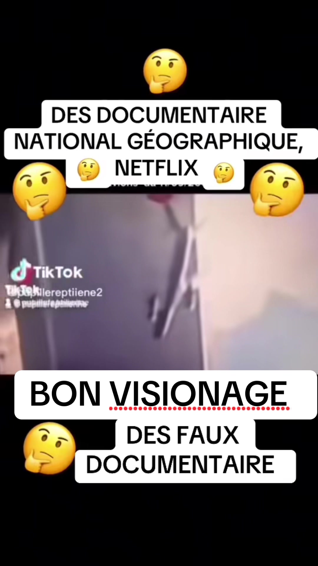 @reptilianpupil10