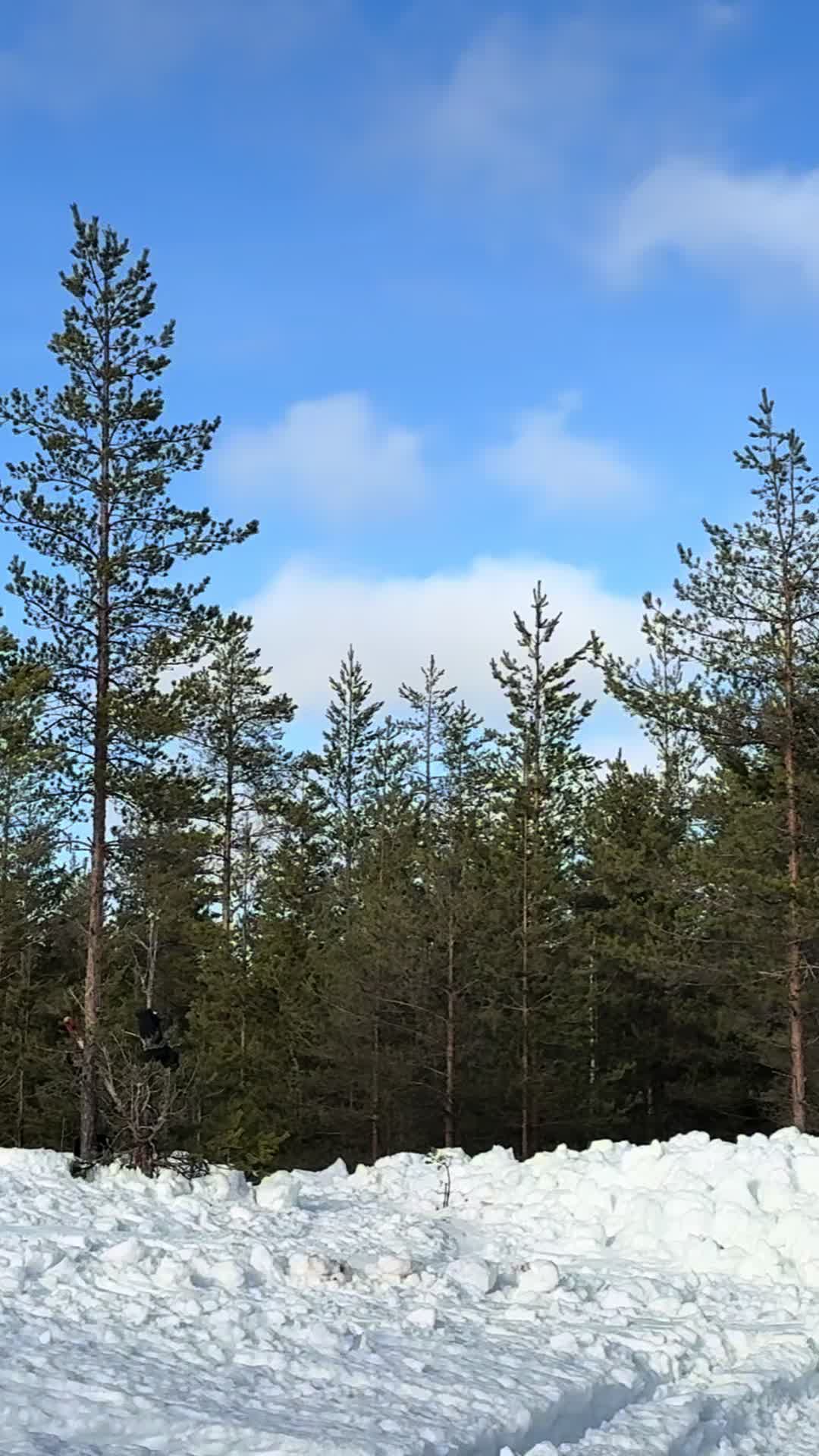 @Gustav Söderholm