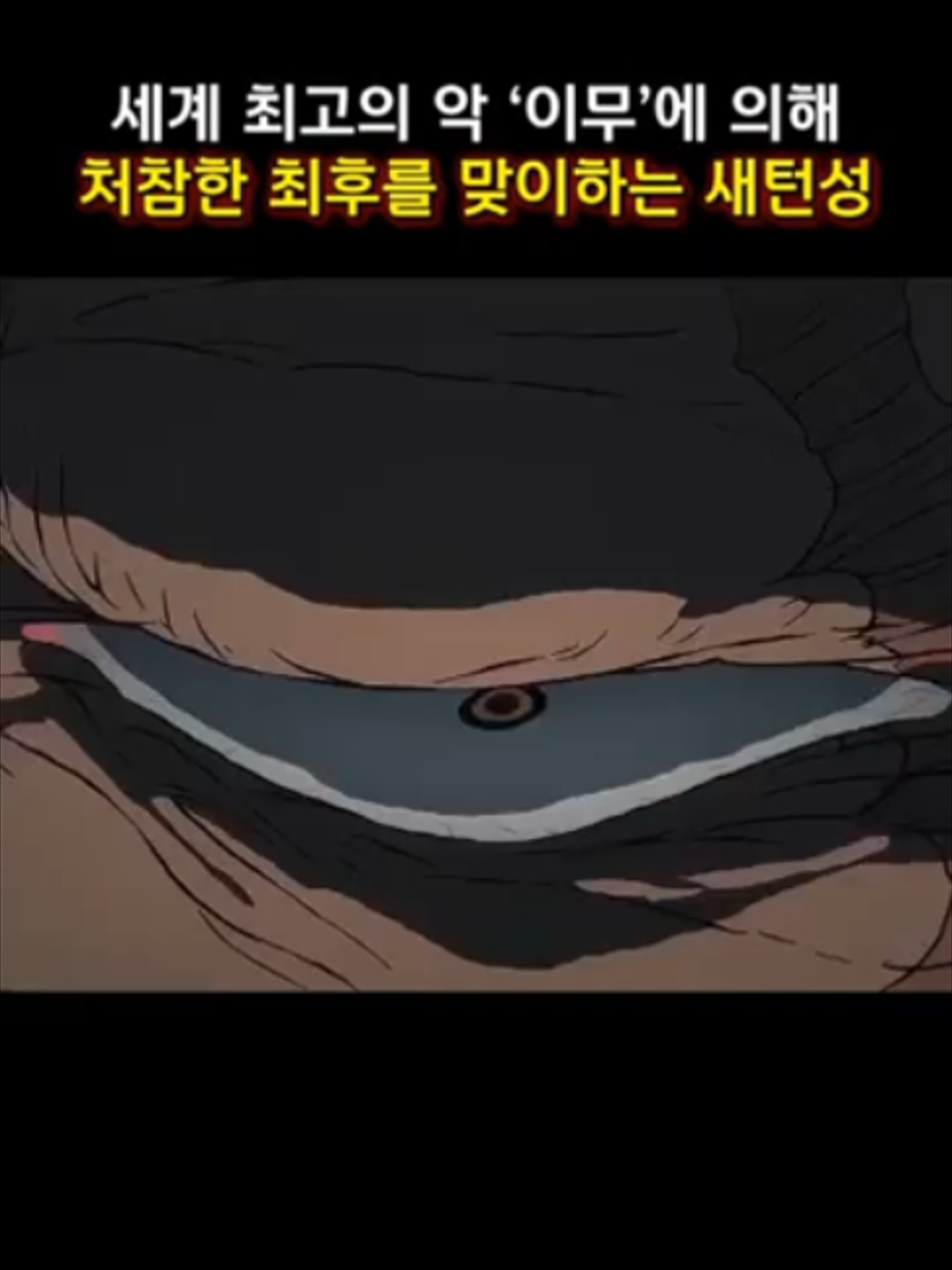 @ytoann90234