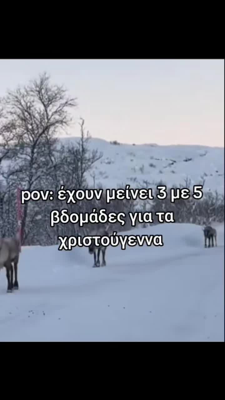 @Princess