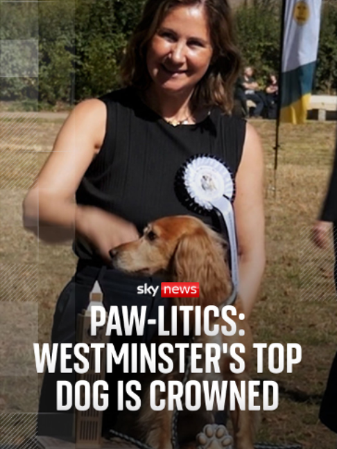 @Sky News