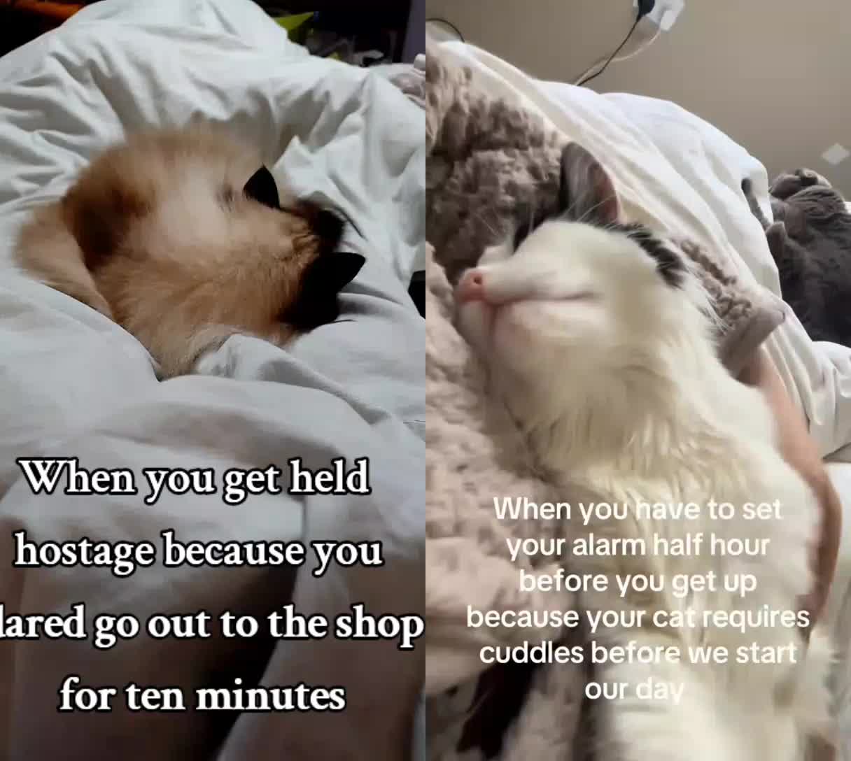 @Anniann