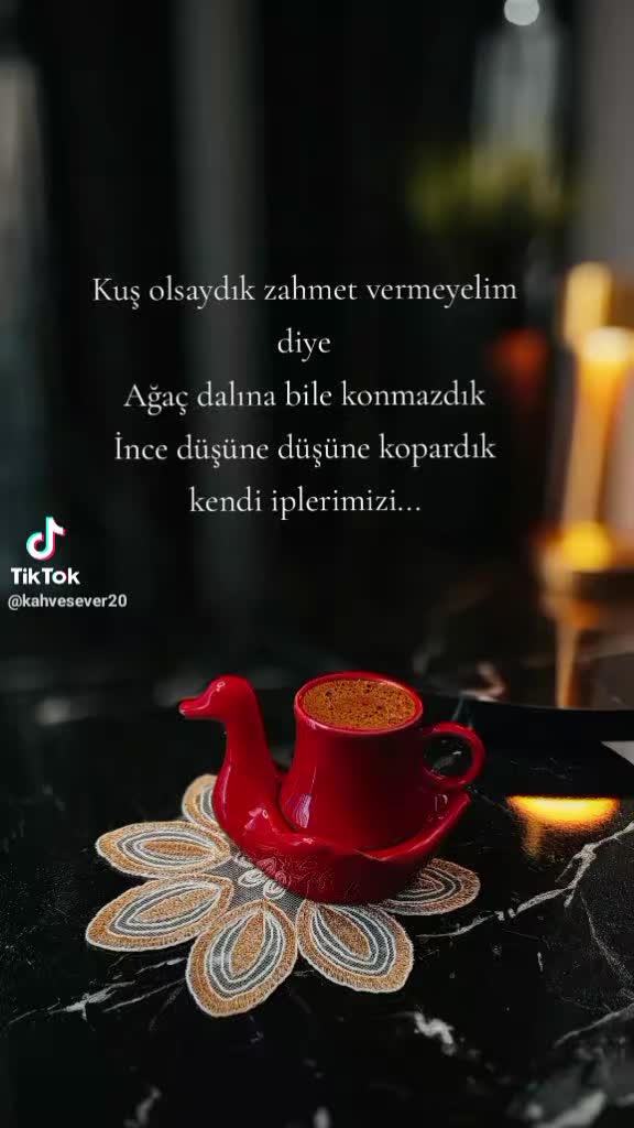 @&sup3;⁶seher karaca&sup3;⁶