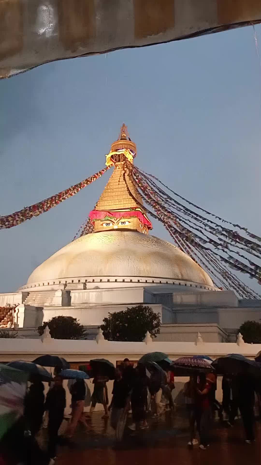 @kalimaya_, Tamang