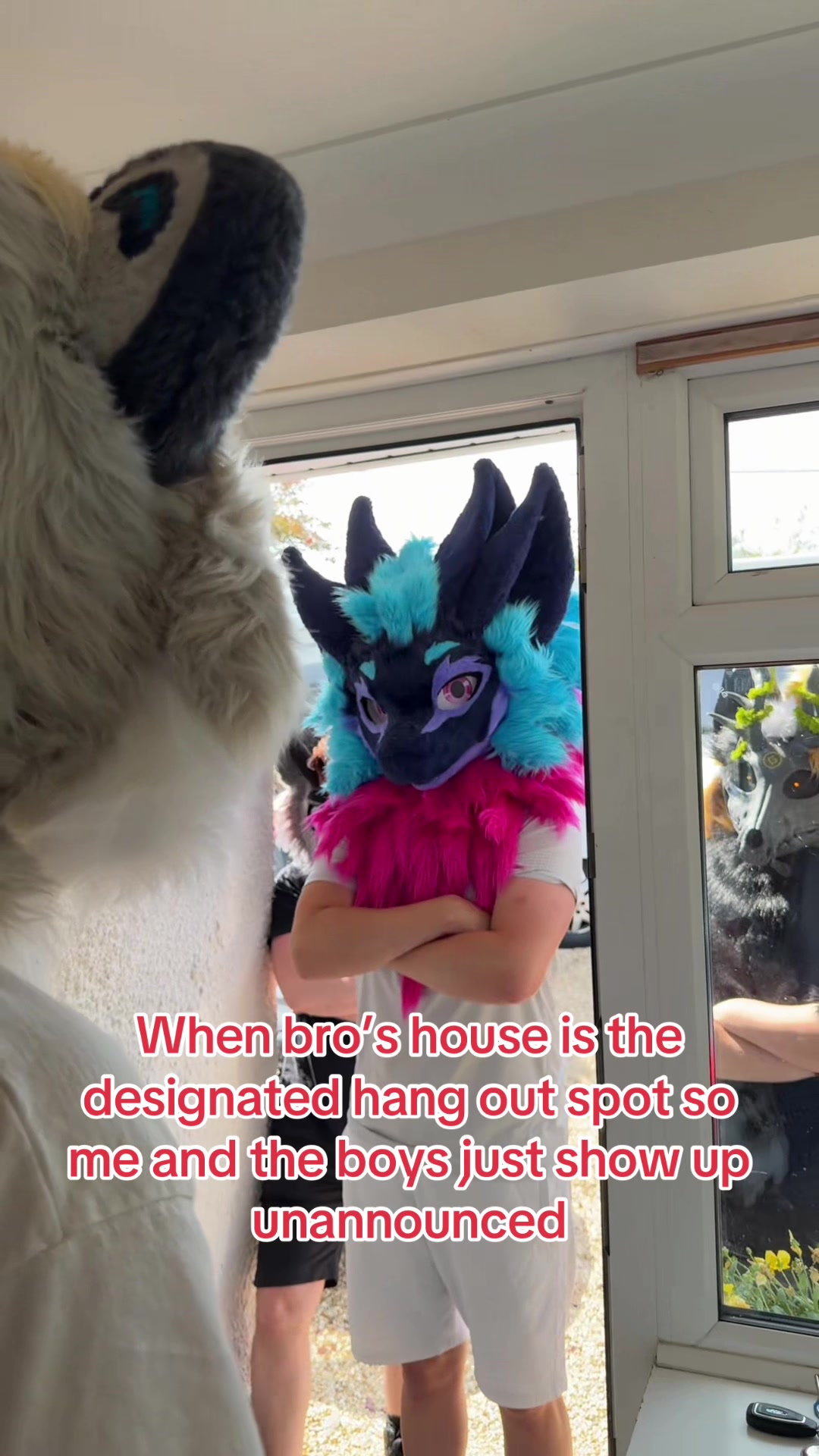 @Nightphin