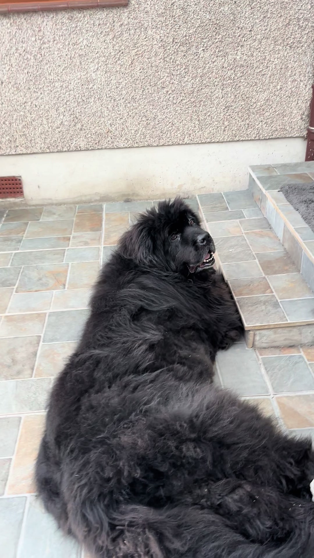 @Pablopoppypiperpoodle