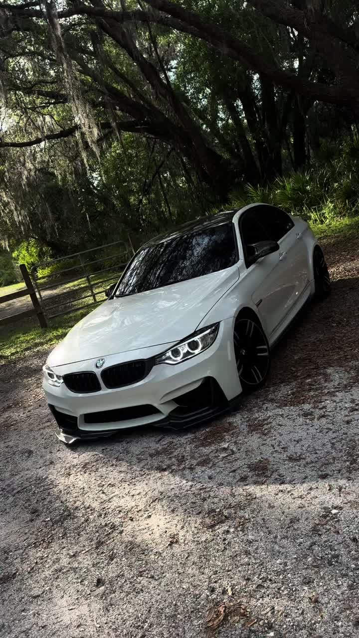 @f80andy_