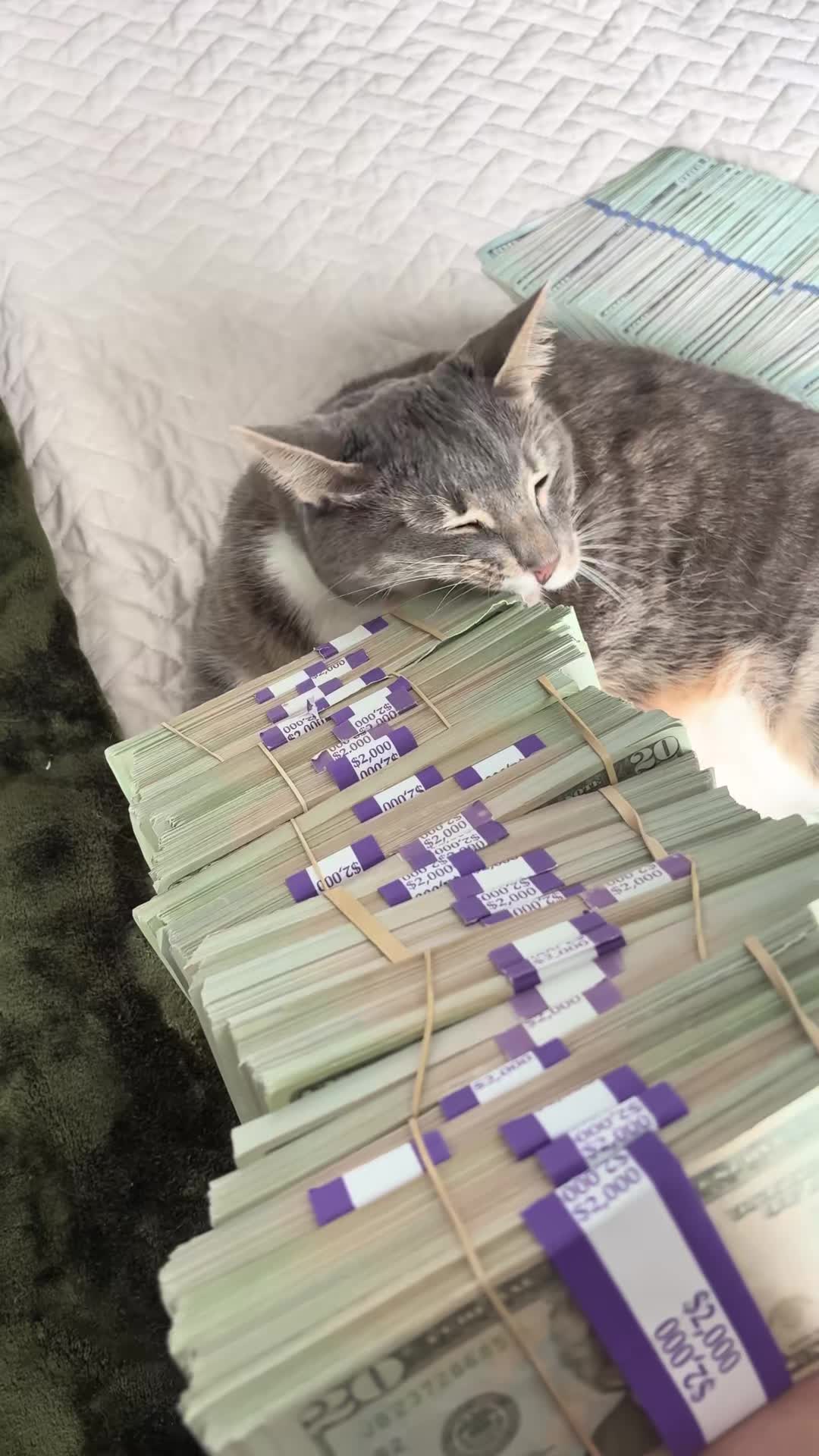 @Sirfentington