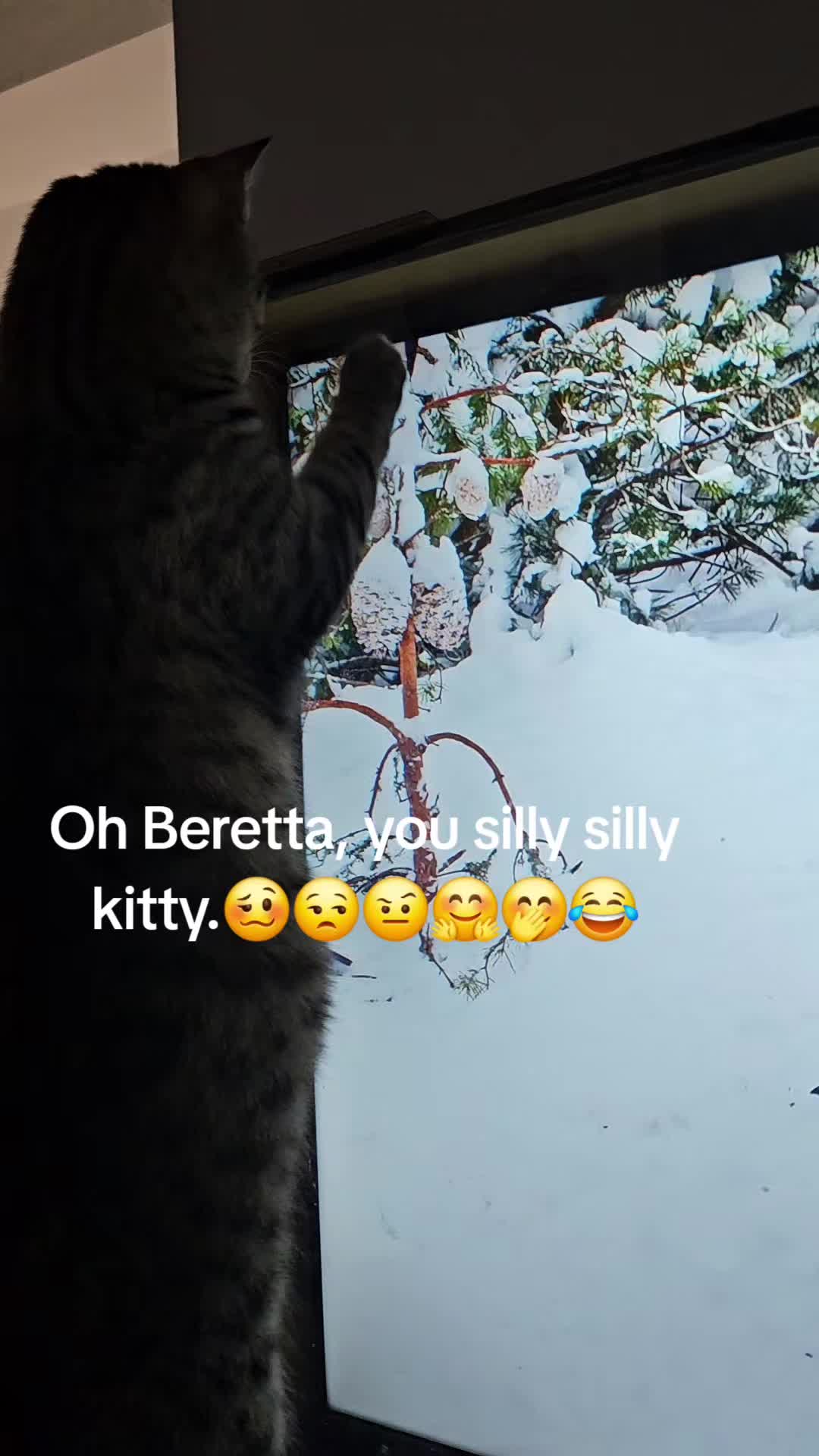 @dustinmatthews751