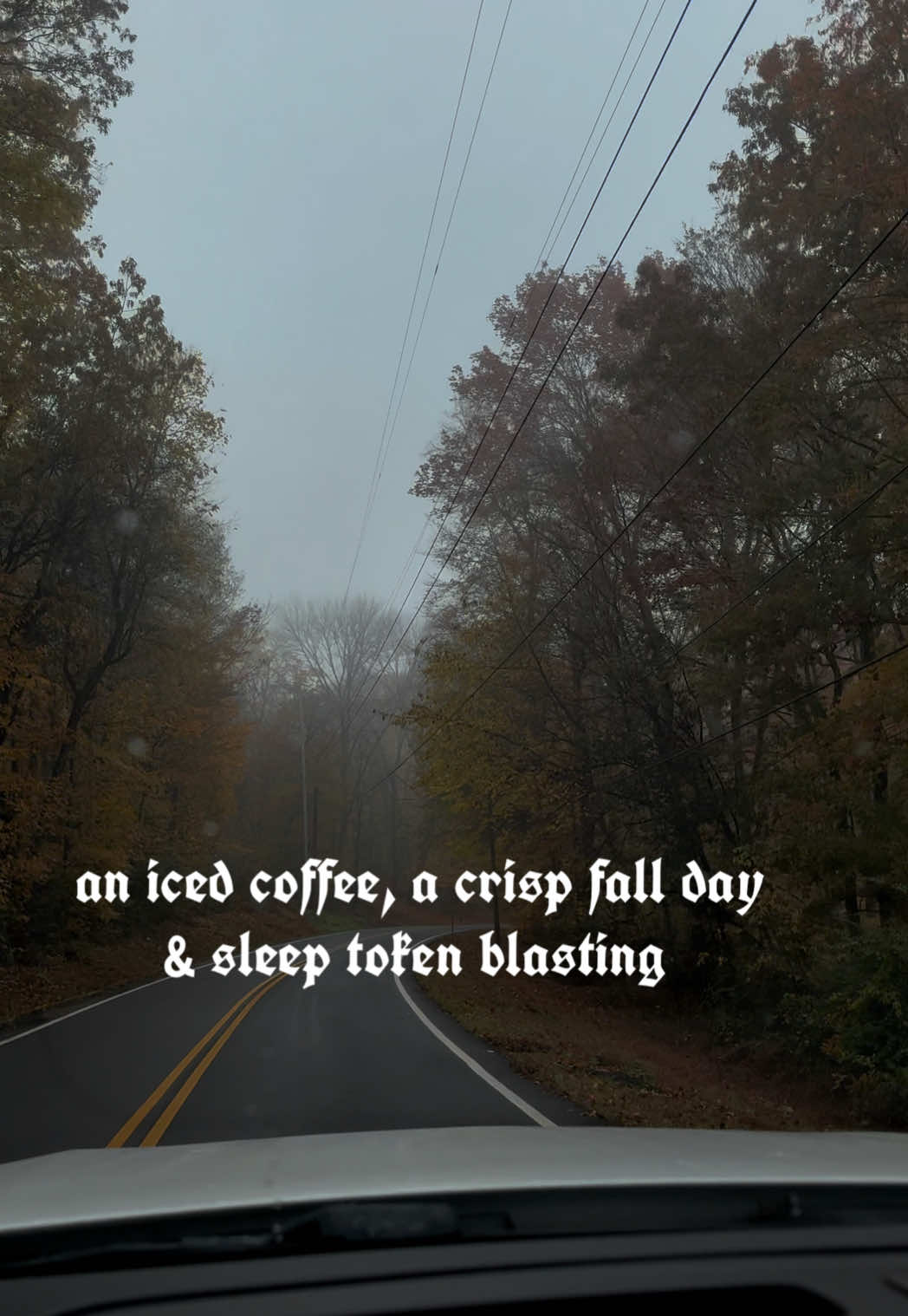 @ashley 🥀
