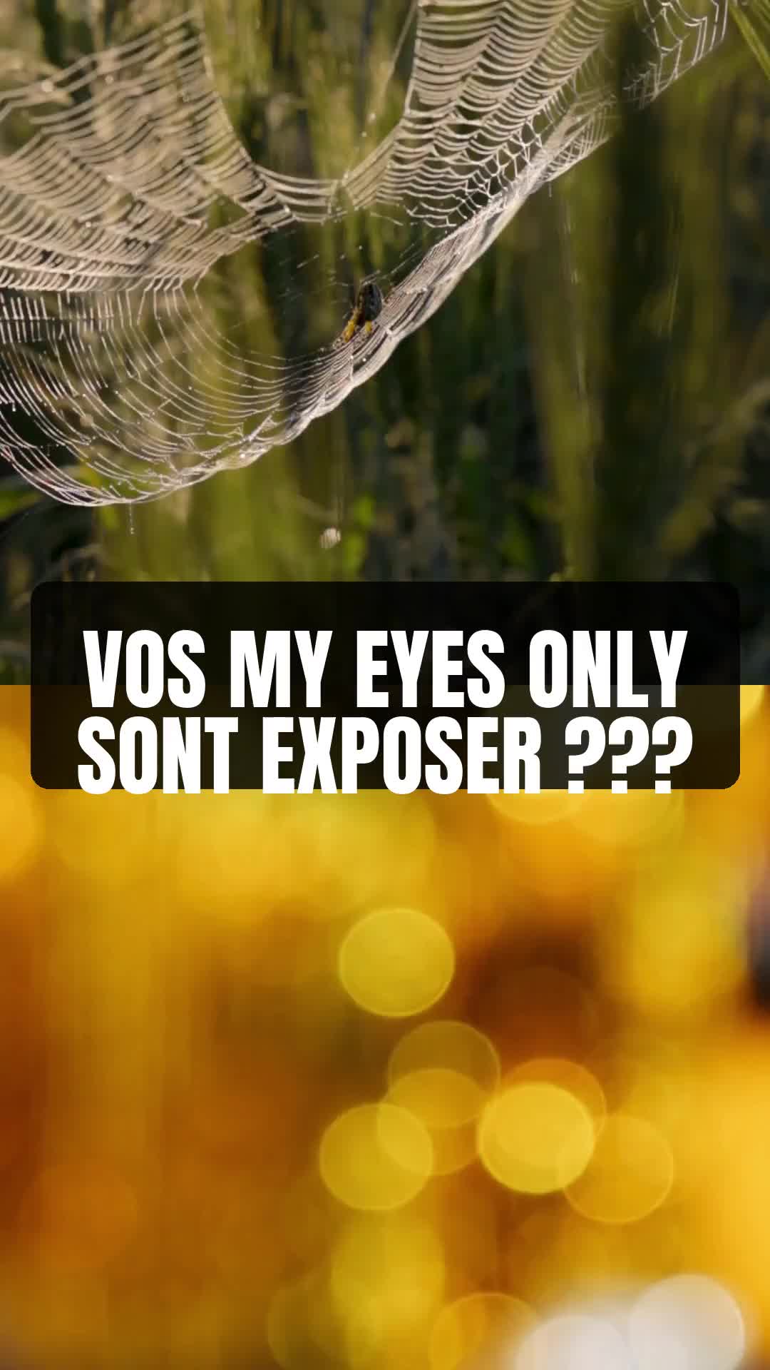 @svixyǃ