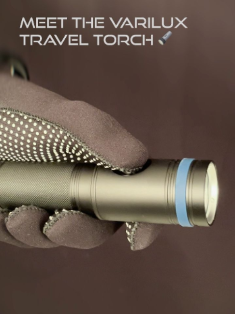 @Northern Diver