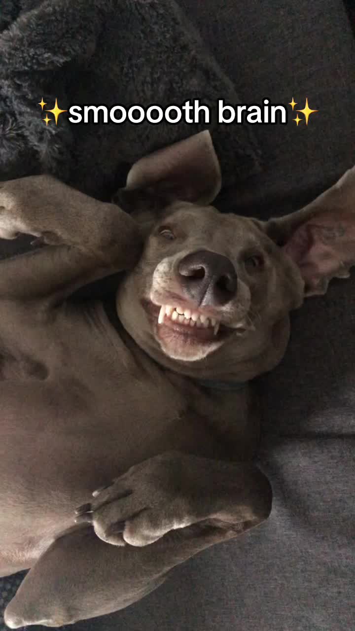 @lola | ig: heydoggyblog