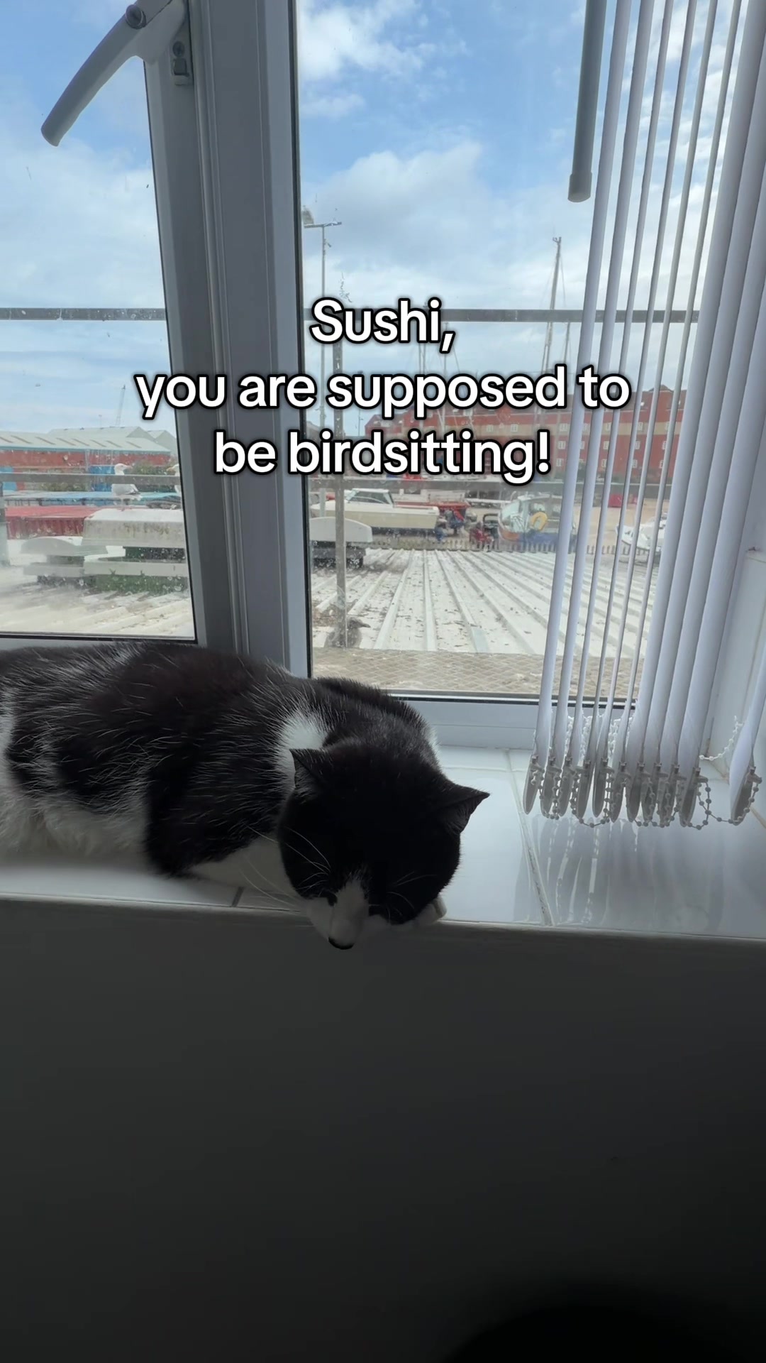 @slavic_cat_mum
