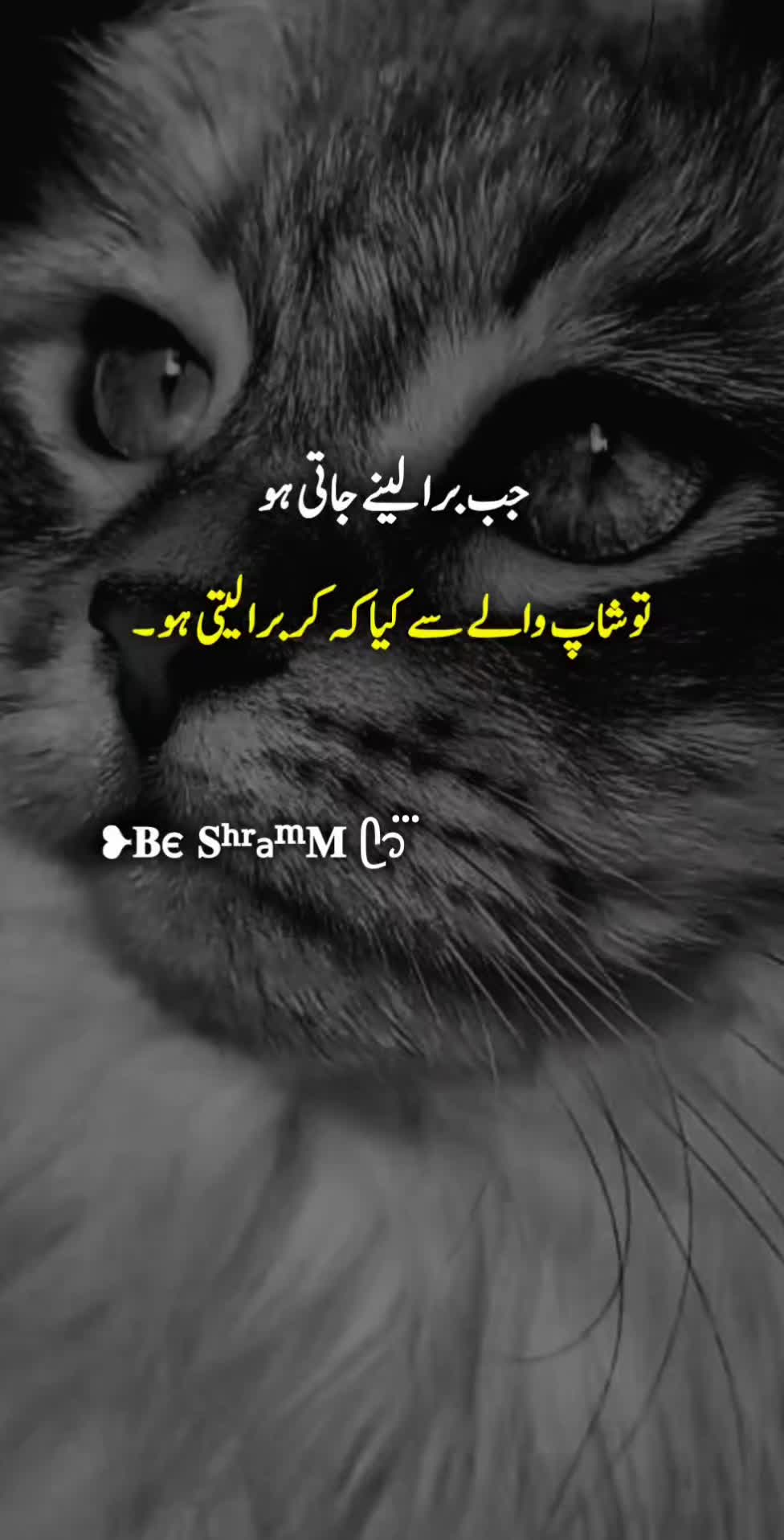 @❥𝐁є 𝐒ʰʳaᵐ𝐌 ᥫ᭡፝֟፝֟