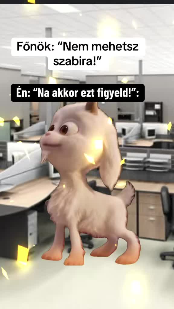 @Nikoletta Németh