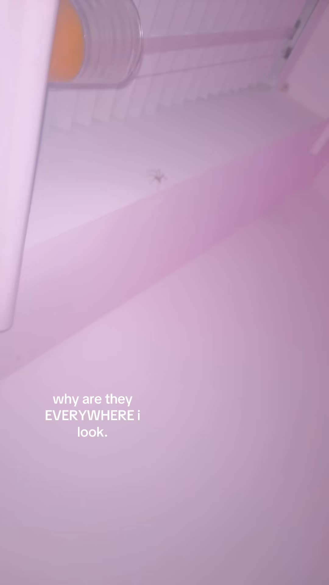 @aurora🥴