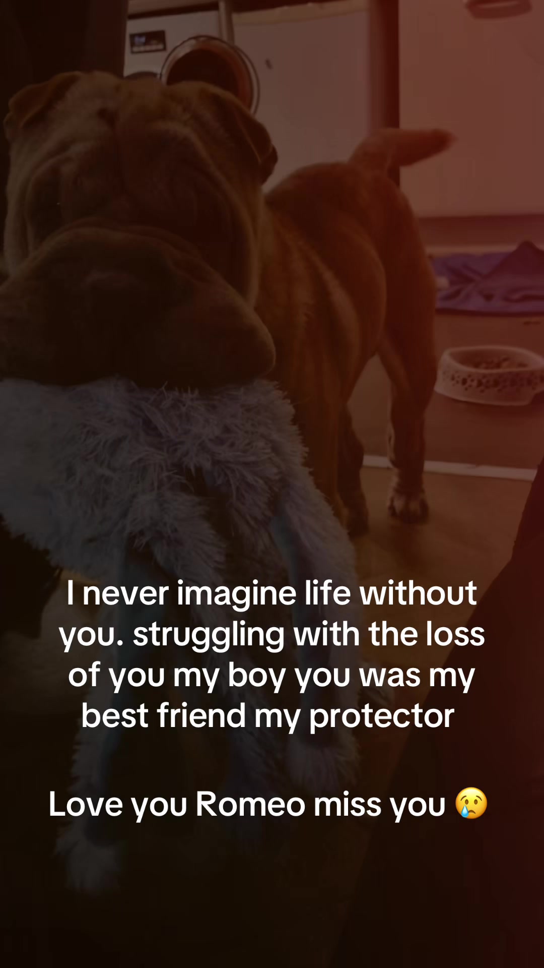 @beautifully 😈 broken