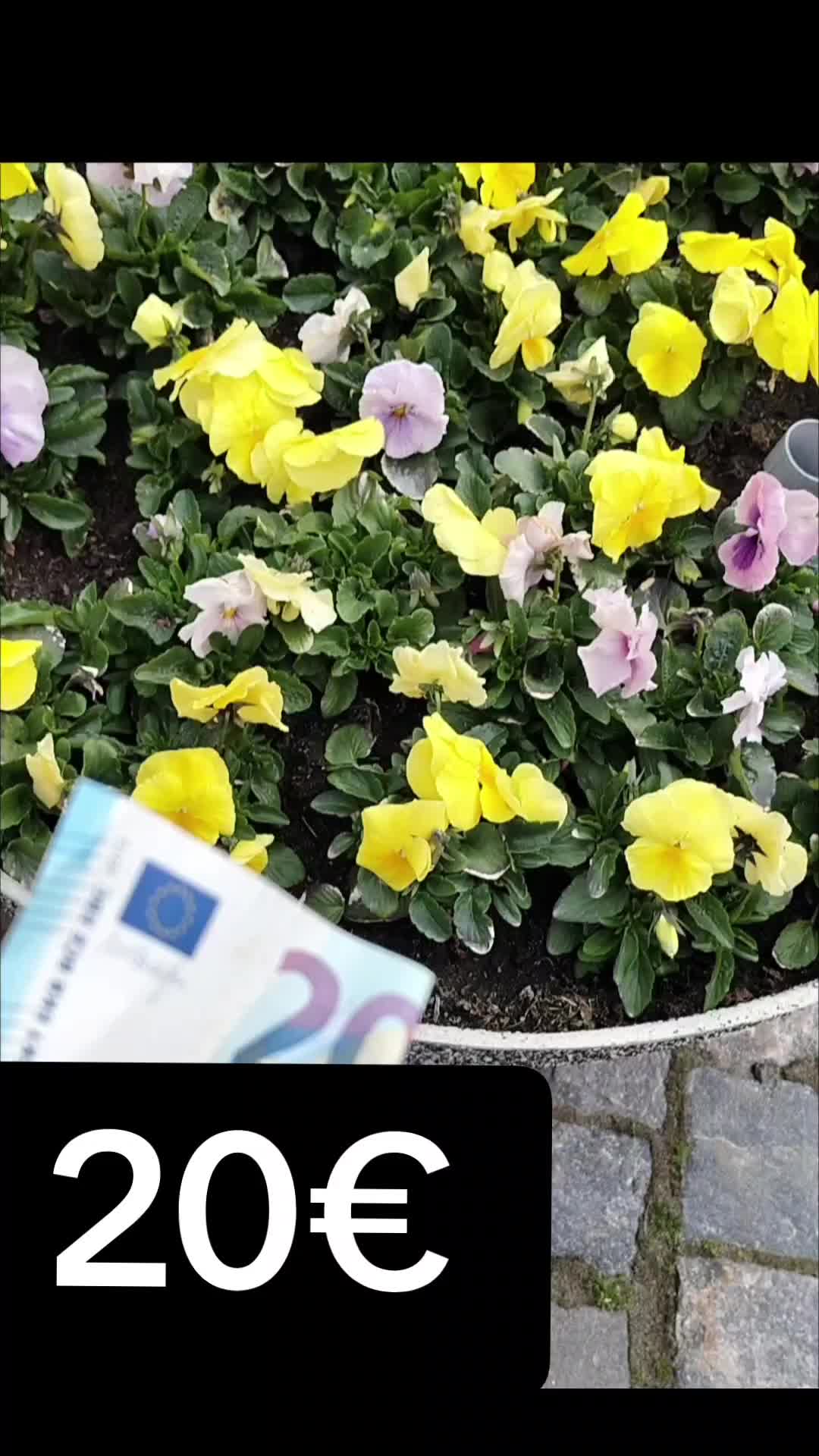 @Cash_Hide_Kokkola