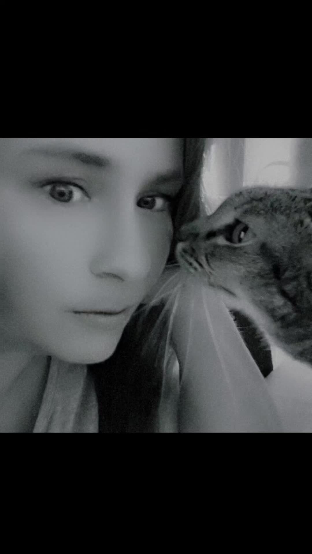 @Süsse Katze🐈
