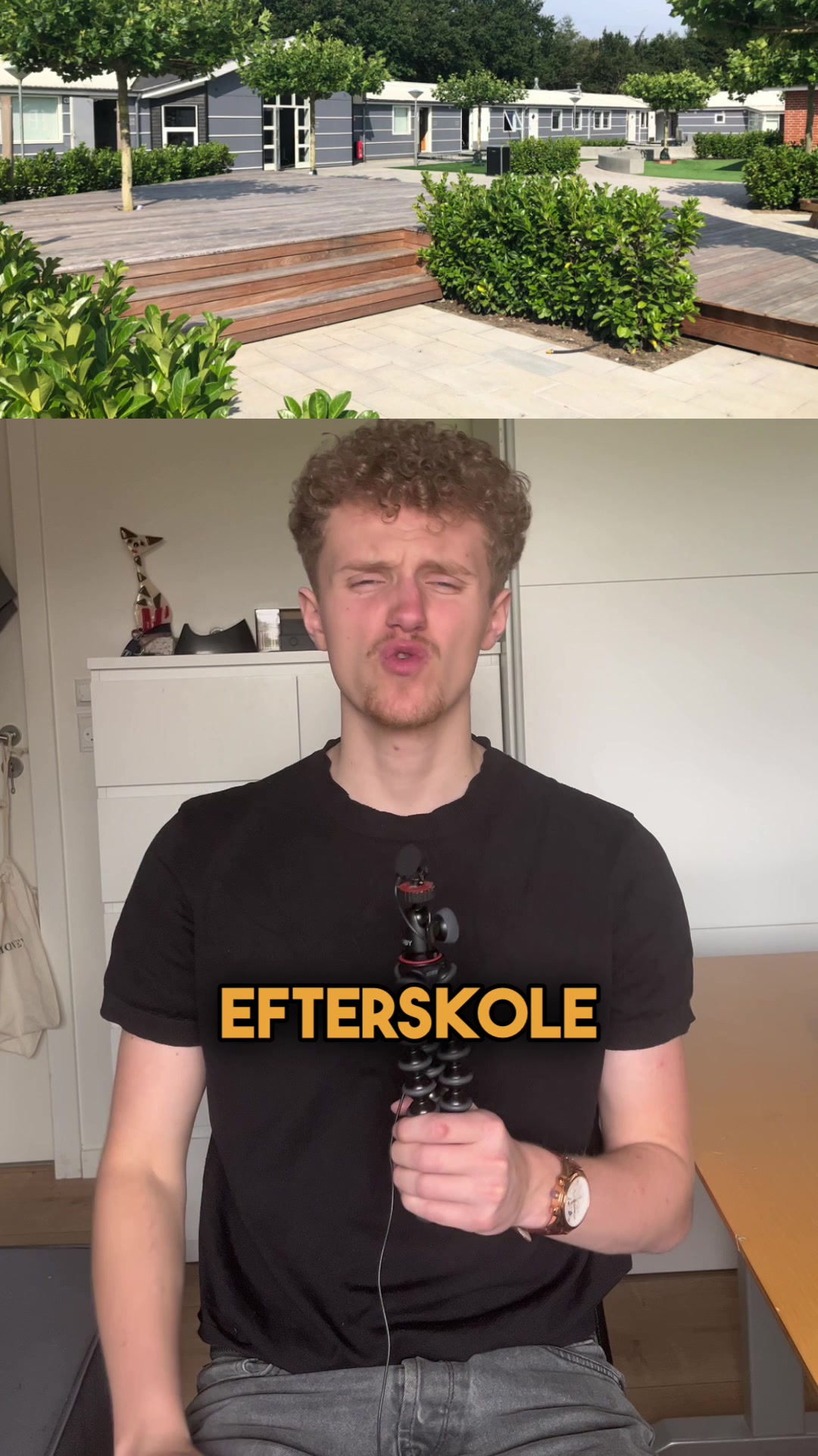 @Magnus Meisler