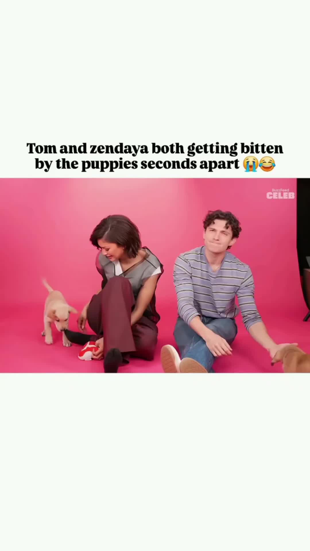 @ViralCuts