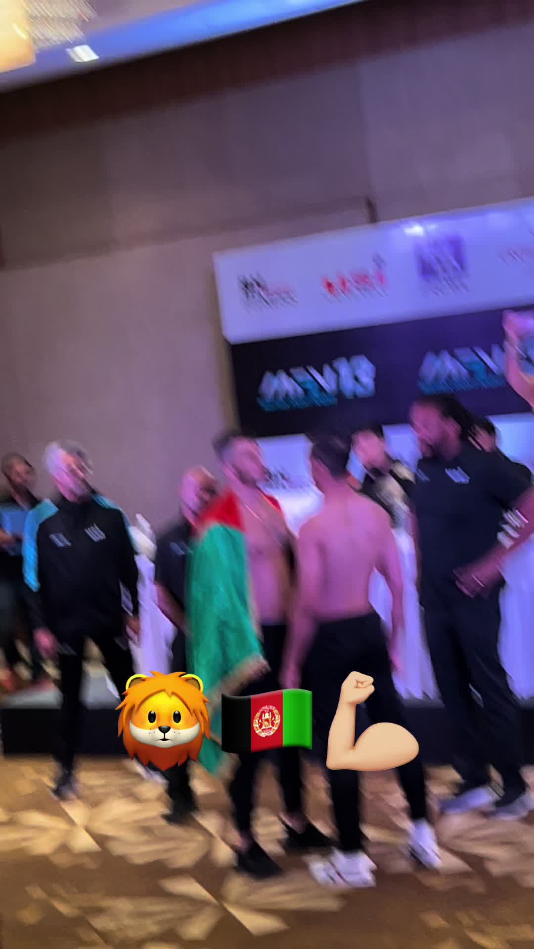 @Afghan Lion