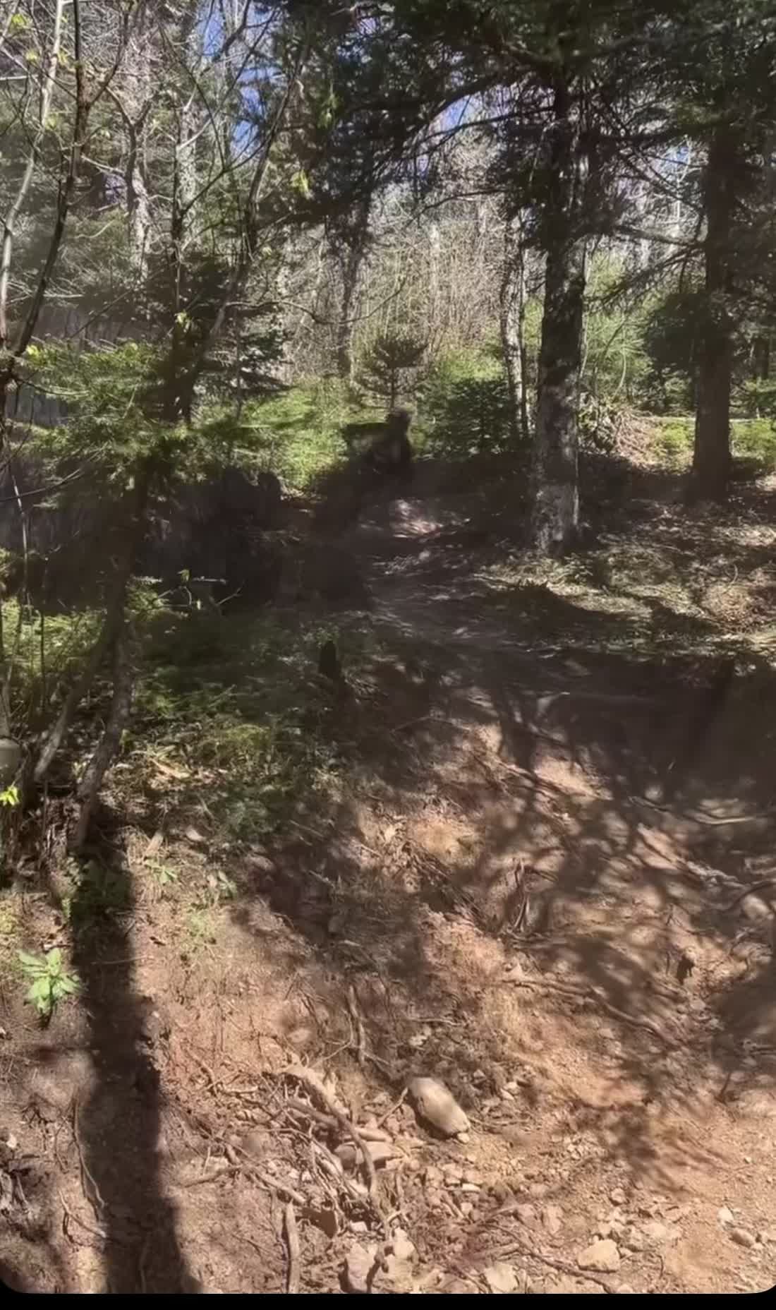 @Wyslaim