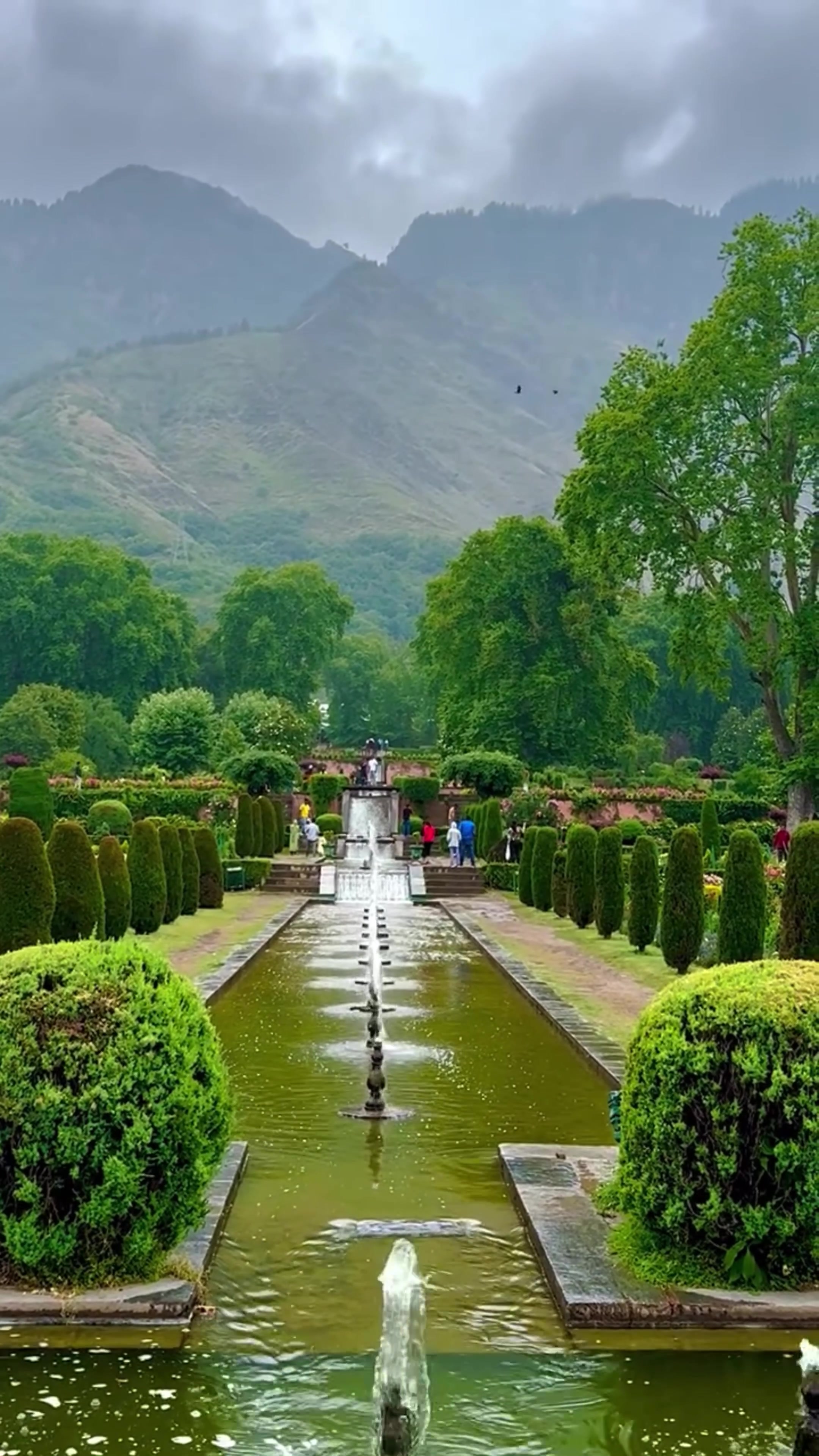 @World 🌍 beauty