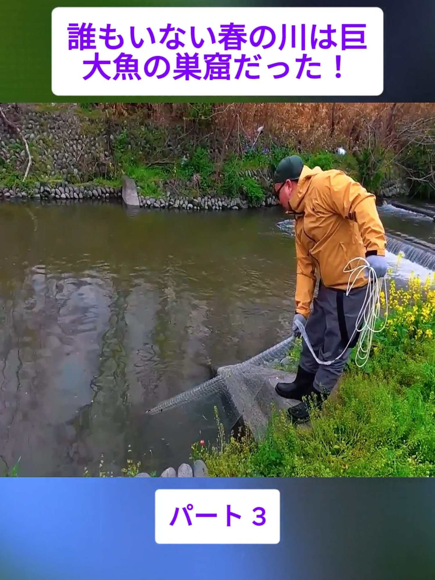 @スキューバダイビングチャンネル