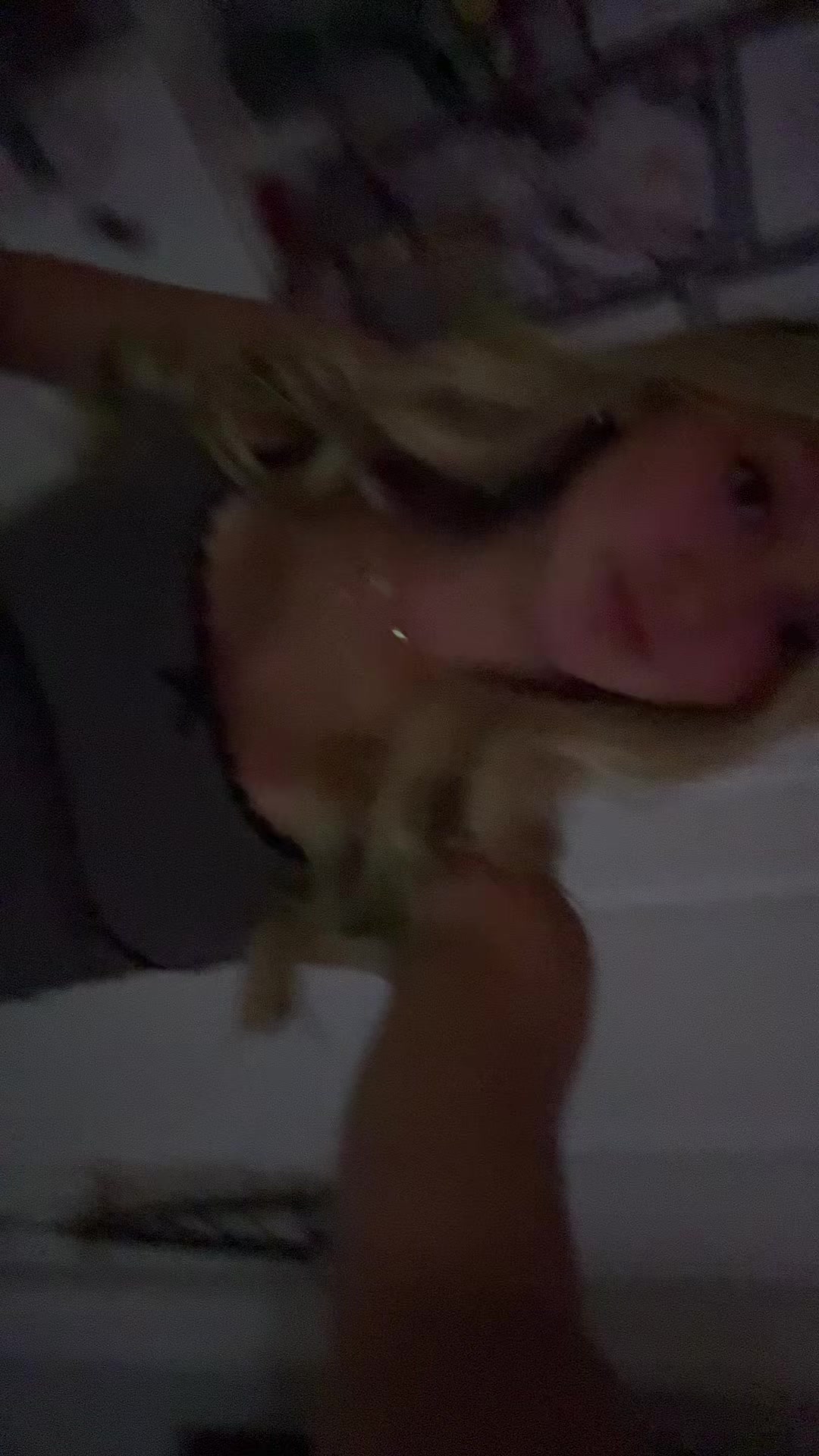 @bella