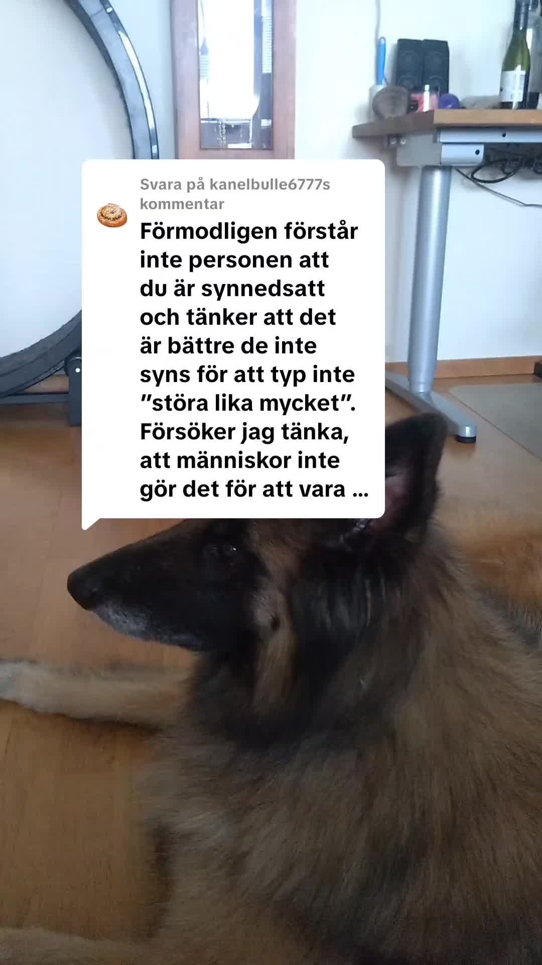 @Fenix-Tervueren AssistanceDog