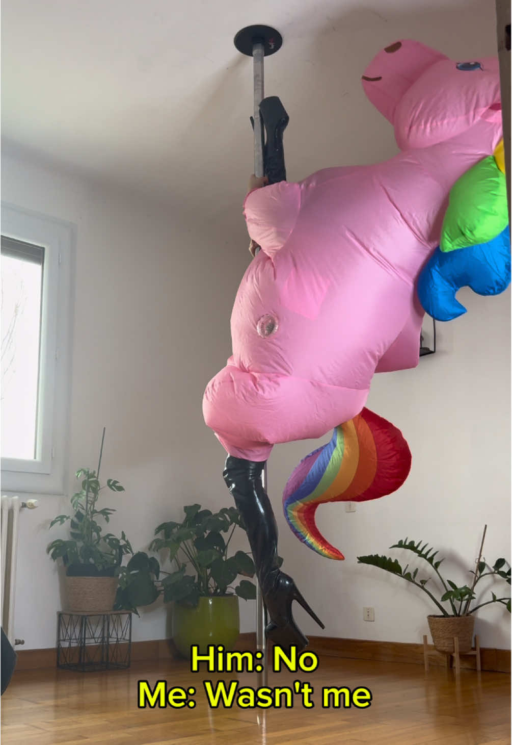 @helena.pole