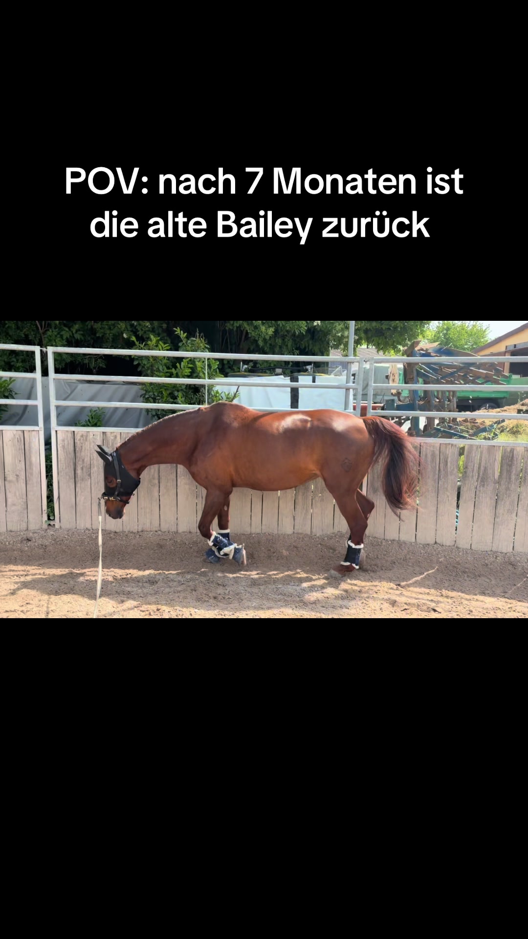@Laura & Bailey