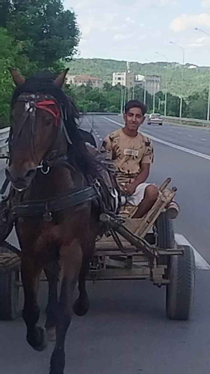 @Dan Dan Bobadieru
