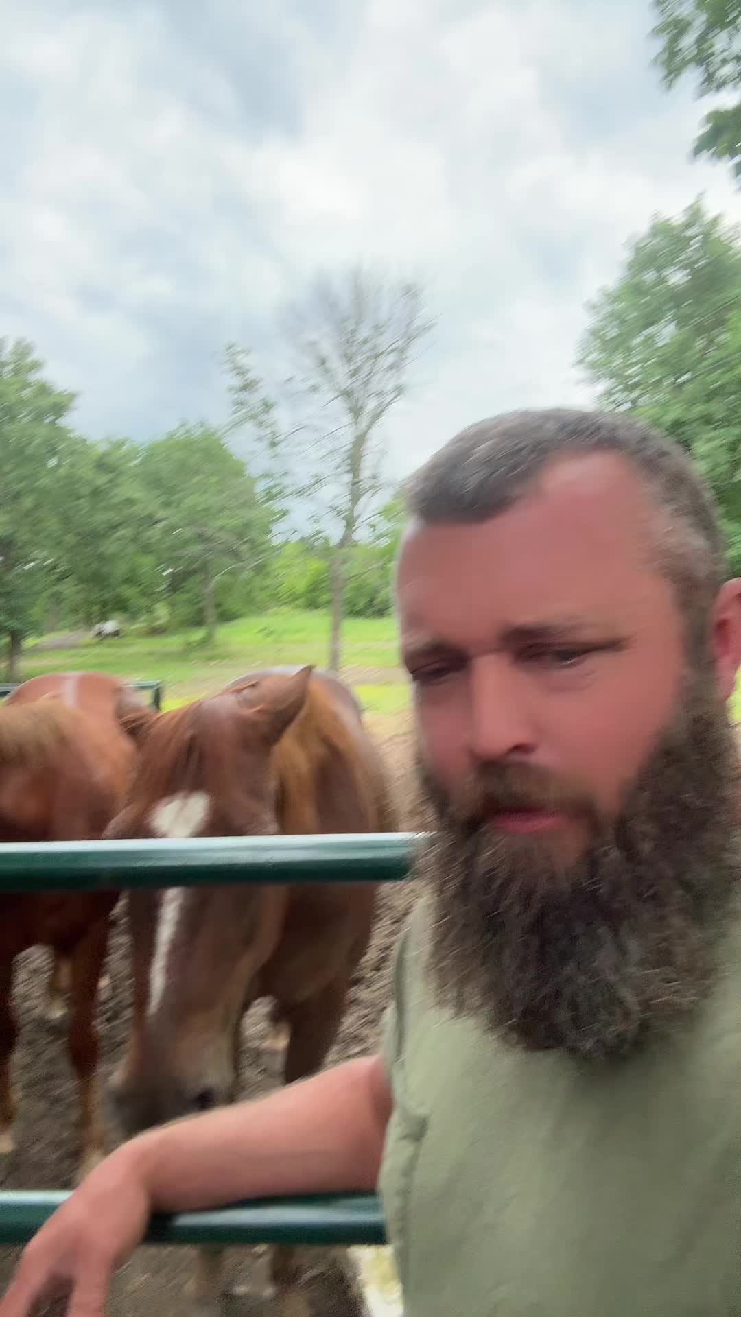 @Rufus The Bull