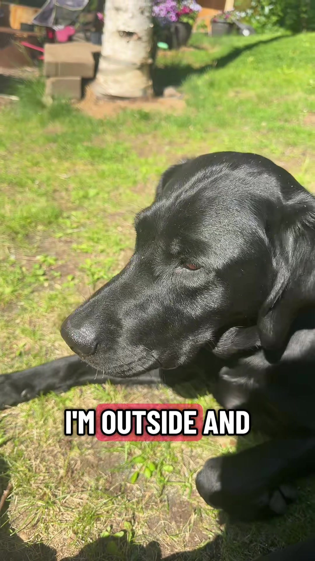 @Alaska-Gus
