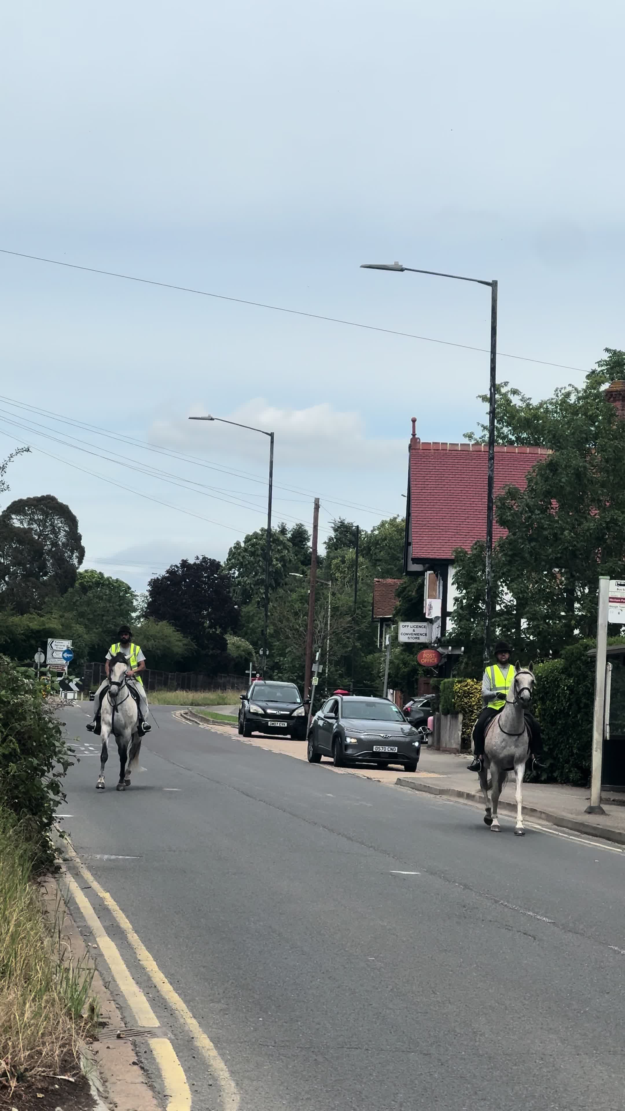 @Slough horses